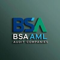 BSA AML Audit Companies LinkedIn