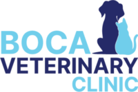 Boca Veterinary Clinic