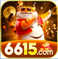 6616bet