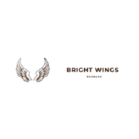 Bright Wings Therapy