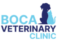 Boca Veterinary Clinic