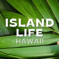 Big Island Of Hawaii Visitors Guide for 2026 | Island Life Hawaii