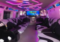 buses for trips