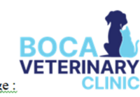 Boca Veterinary Clinic