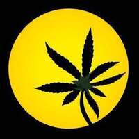 Cannabis Delivery | Online Dispensary | Weed Near Me