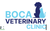 Boca Veterinary Clinic